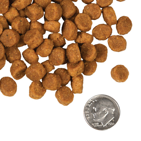 Fromm Four-Star Dry Dog Food - Pork & Peas - 4lb Bag